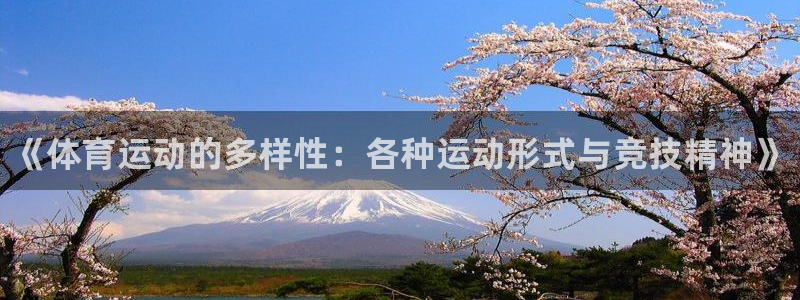 MK体育官方正版app集团E.ON：《体育运动的多样