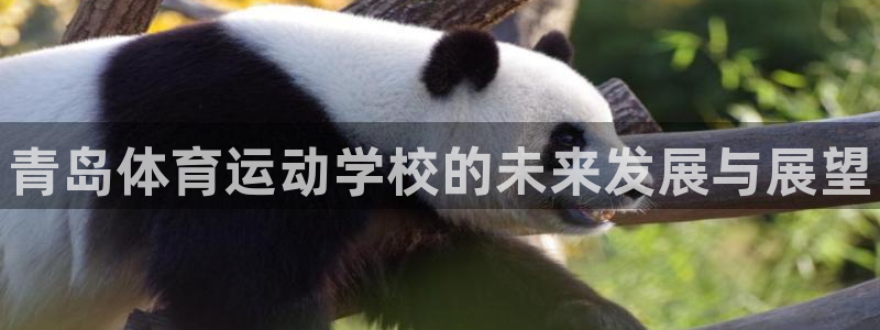 MK体育官网下载招商电话是多少：青岛体育运动学校的未