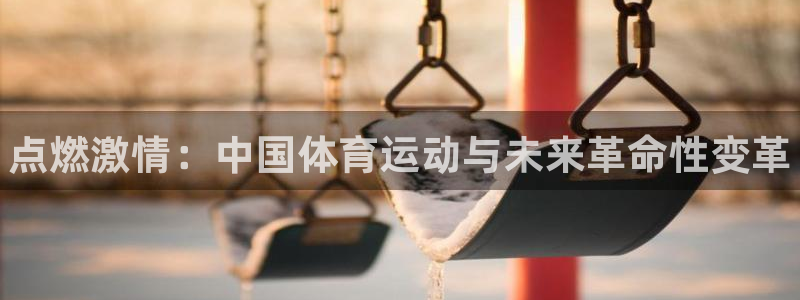 MK体育官网下载平台注册流程图：点燃激情：中国体育运动与未来