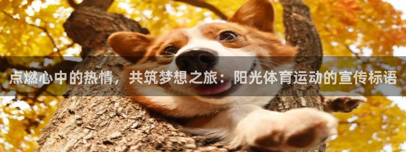 MK体育官方正版app娱乐：点燃心中的热情，共筑梦想之旅：阳
