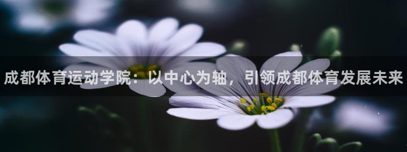 MK体育官方正版app娱乐首页网站大全：成都体育运动
