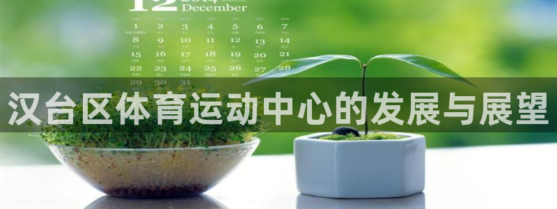 MK体育官网下载平台是正规平台吗：汉台区体育运动中心的发展与