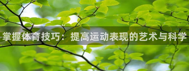MK体育官方正版app神州：掌握体育技巧：提高运动表现的艺术