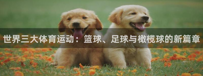 MK体育官网下载招商电话是多少号码：世界三大体育运动：篮球、