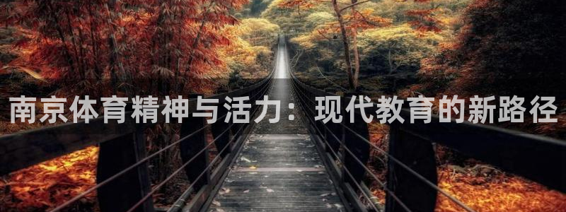 MK体育官方正版app娱乐首页官网下载：南京体育精神与活力：