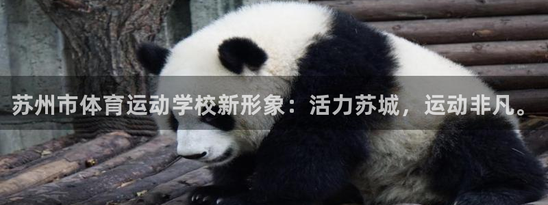 MK体育官方正版app娱乐首页网站大全：苏州市体育运动学校新