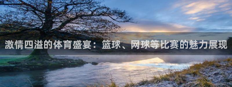 MK体育官网下载官方客服电话：激情四溢的体育盛宴：篮球、网球