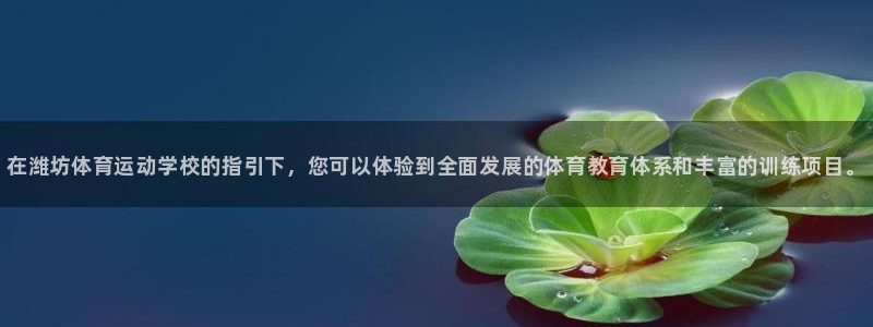 MK体育官方正版app科技：在潍坊体育运动学校的指引下，您可