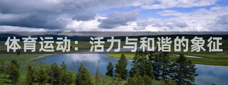 MK体育官网下载招商电话号码查询：体育运动：活力与和谐的象征