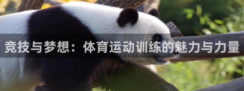 MK体育官方正版app娱乐首页官网下载：竞技与梦想：体育运动
