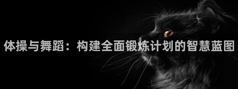 MK体育官方正版app集团简介