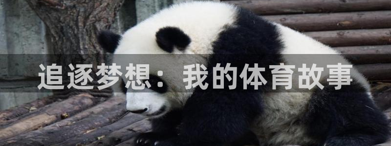 MK体育官网下载：追逐梦想：我的体育故事