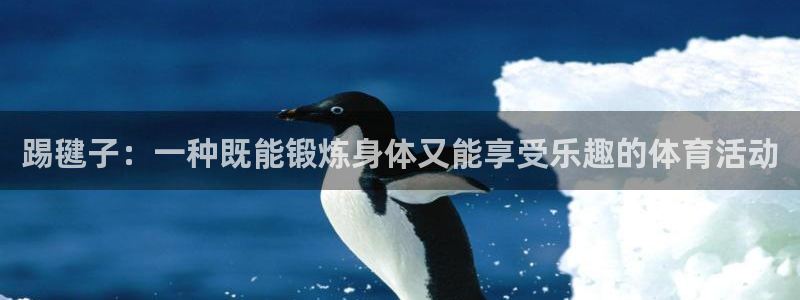 MK体育官网下载招商电话号码是多少啊：踢毽子：一种既