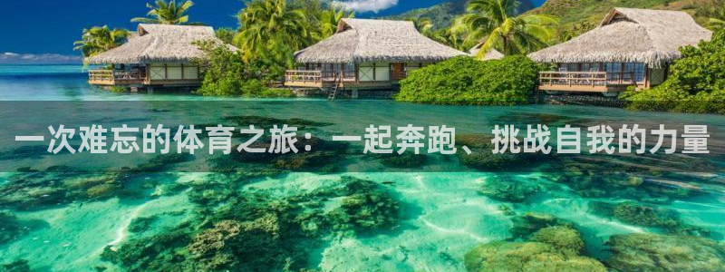 MK体育官网下载平台注册流程视频：一次难忘的体育之旅：一起奔