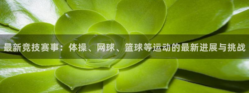 MK体育官方正版app娱乐首页网站大全：最新竞技赛事：体操、